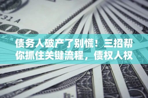 北京债务人破产了别慌！三招帮你抓住关键流程，债权人权益不再缩水