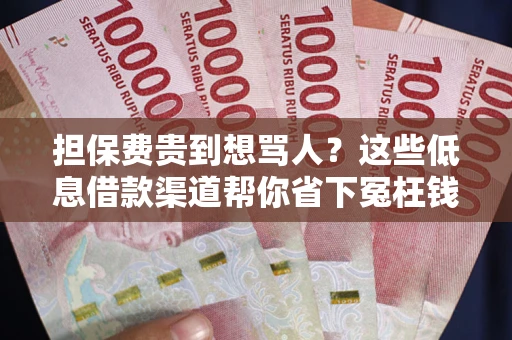 北京担保费贵到想骂人？这些低息借款渠道帮你省下冤枉钱